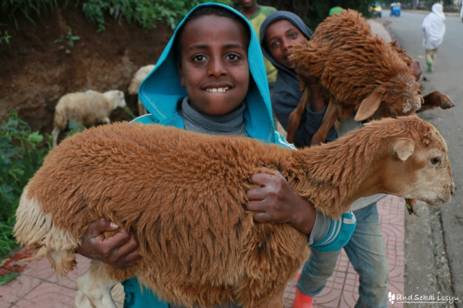 エチオピア　ゴンダール　子供