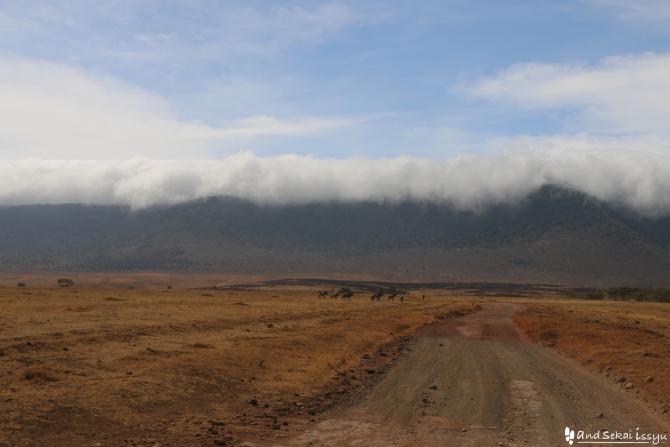 ンゴロンゴロ自然保護区の雲
