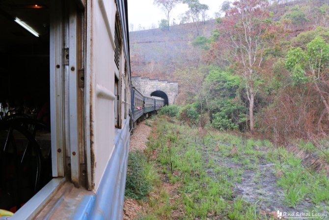 タンザン鉄道（タザラ）に乗ってダルエスサラームからザンビアまで電車旅