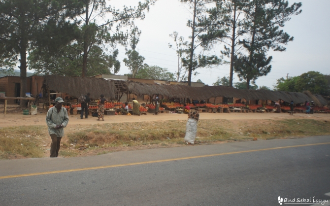 ザンビアでヒッチハイク。有料だけど主流の移動手段。