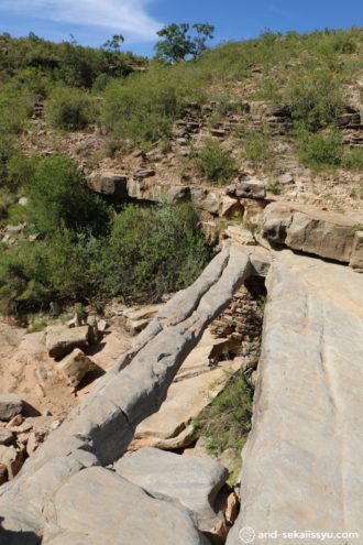 エル・ベルヘル（El Vergel）｜ボリビアのグランドキャニオンで滝修行‼︎恐竜の足跡が予想以上にでかかった‼︎