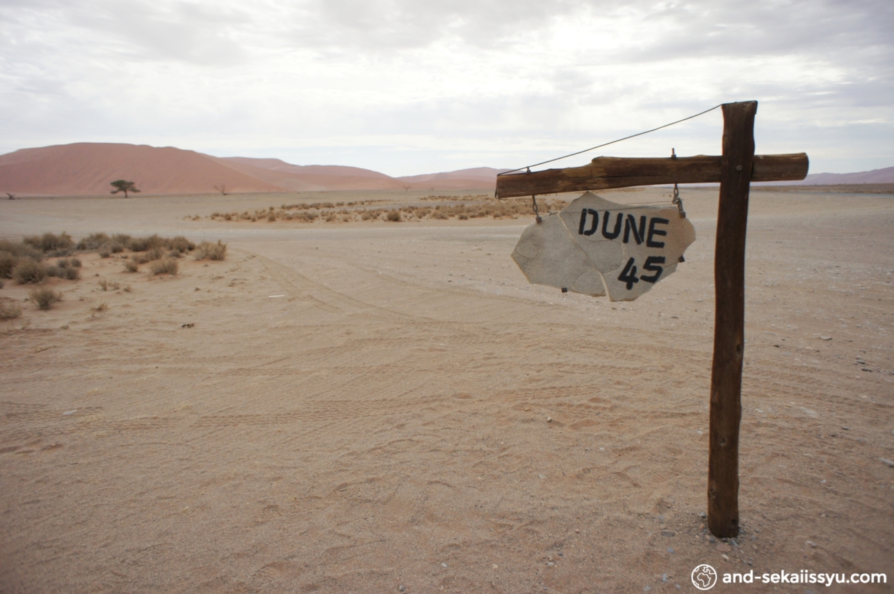 ナミブ砂漠のDune45