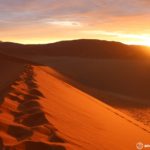 ナミブ砂漠のDune45｜夕日に染まるナミブ砂漠が絶景過ぎる!!【7日目】
