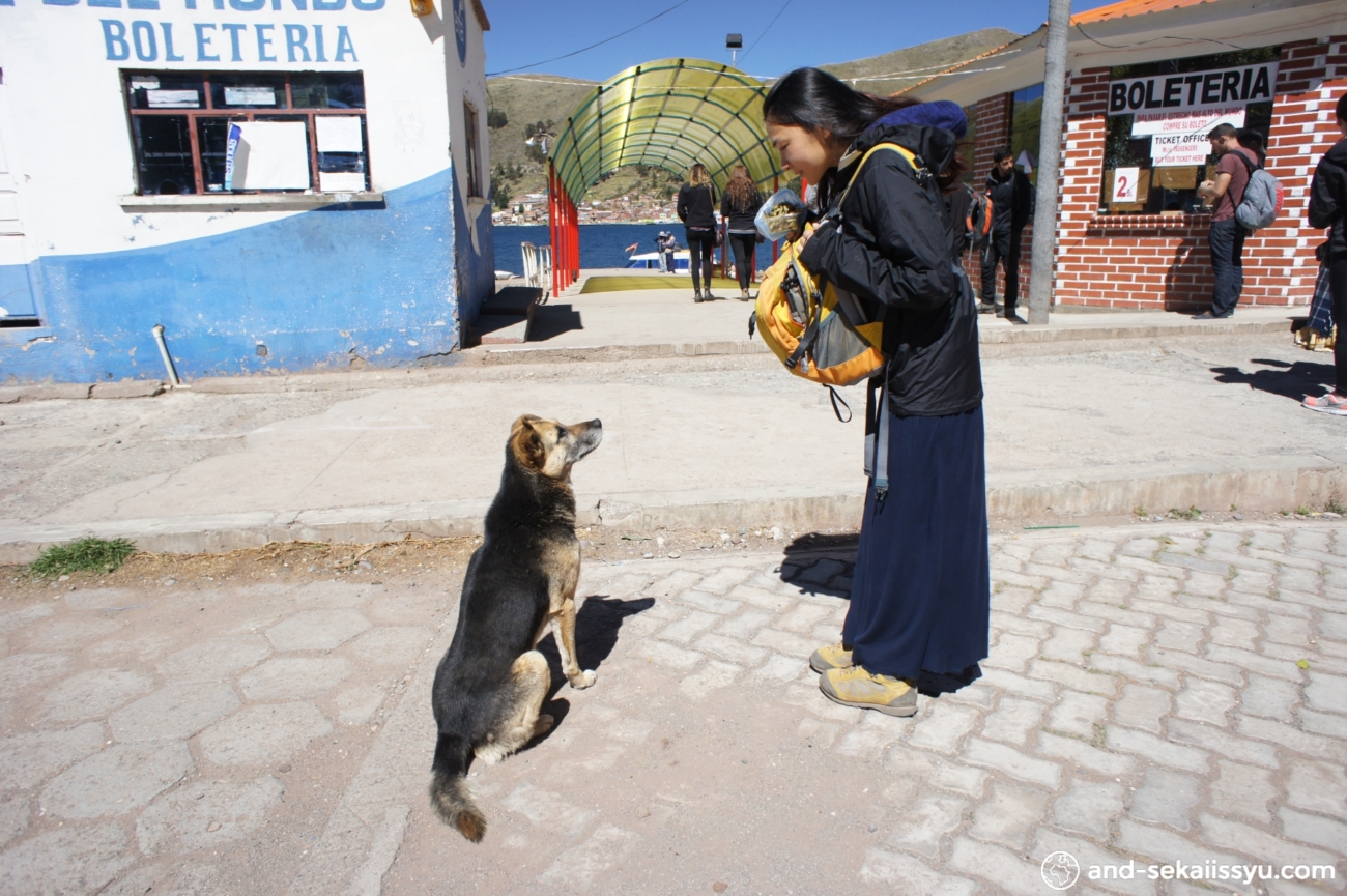 ボリビアのラパスからペルーのプーノにバスで移動‼︎