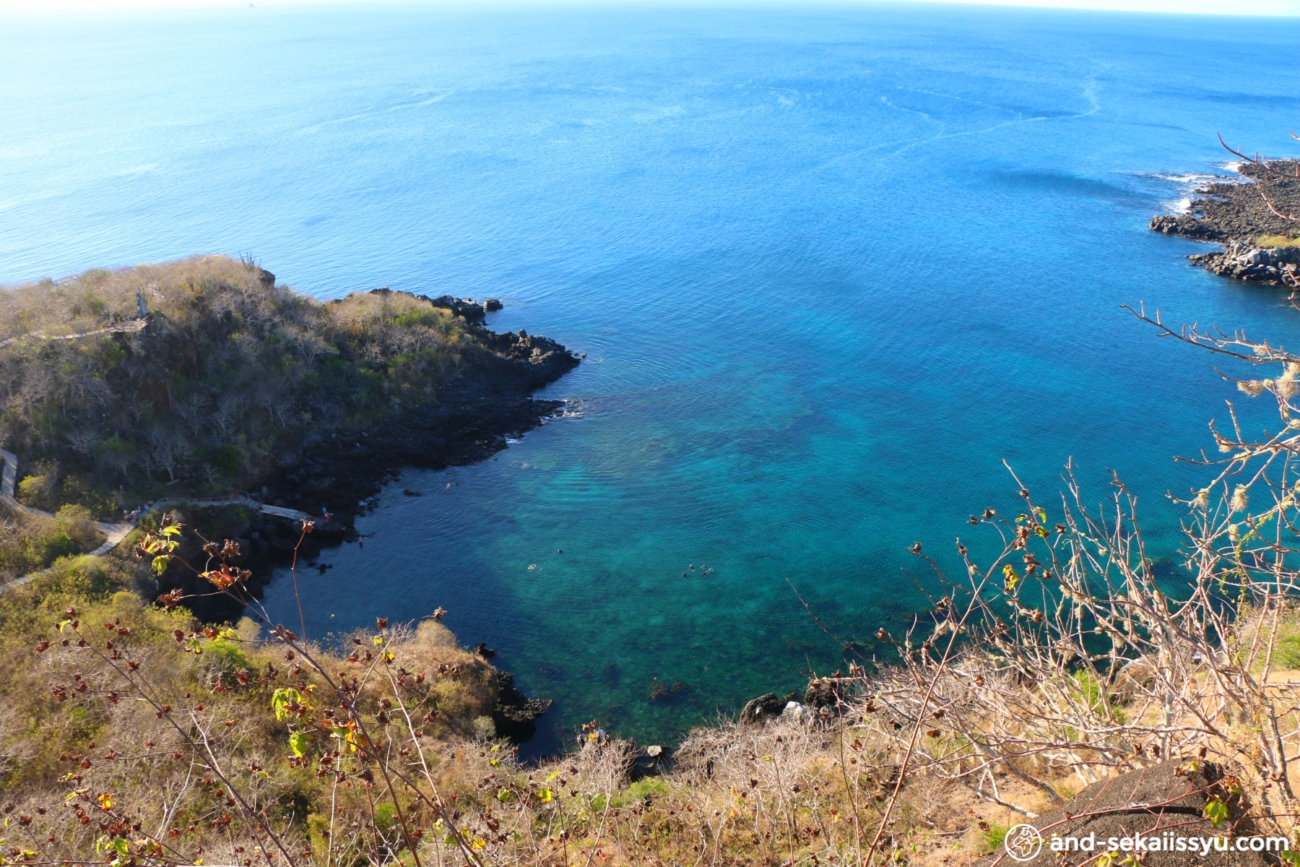 サンクリストバル島｜貴重なグンカンドリを追跡‼︎アシカとカメとシュノーケリング‼︎